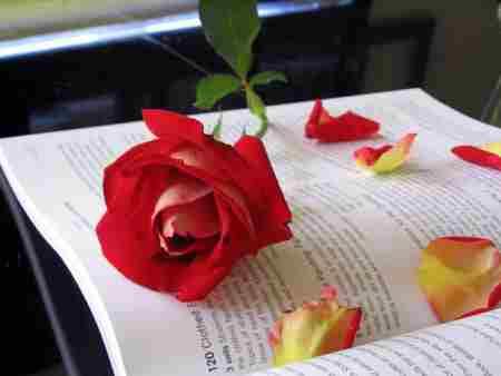 ���� ��� ������� ��� ����� ���  ���� �����  ����